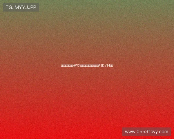 特斯拉澄清未放弃HW3车型明年二季度将发布轻量版FSD V14系统